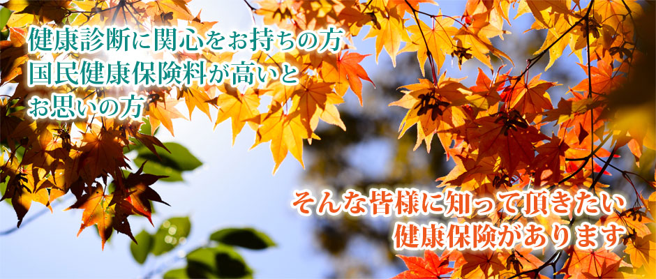 2017年秋①
