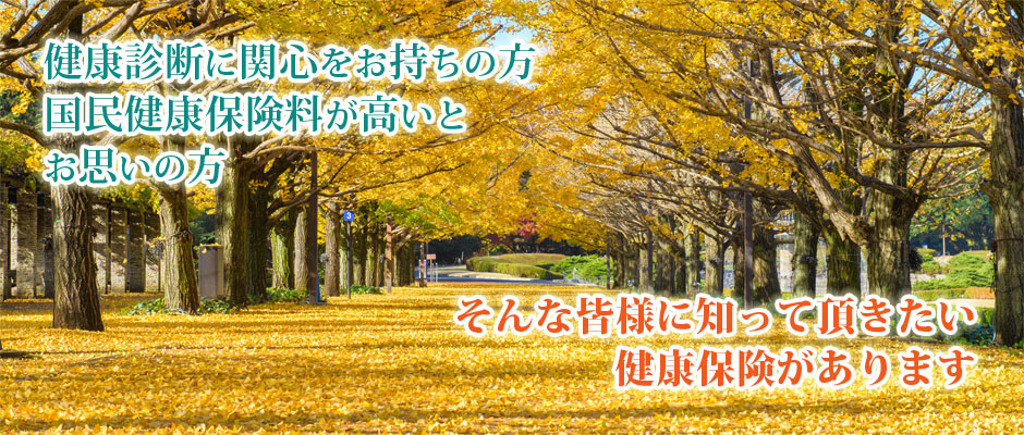 2017年秋①