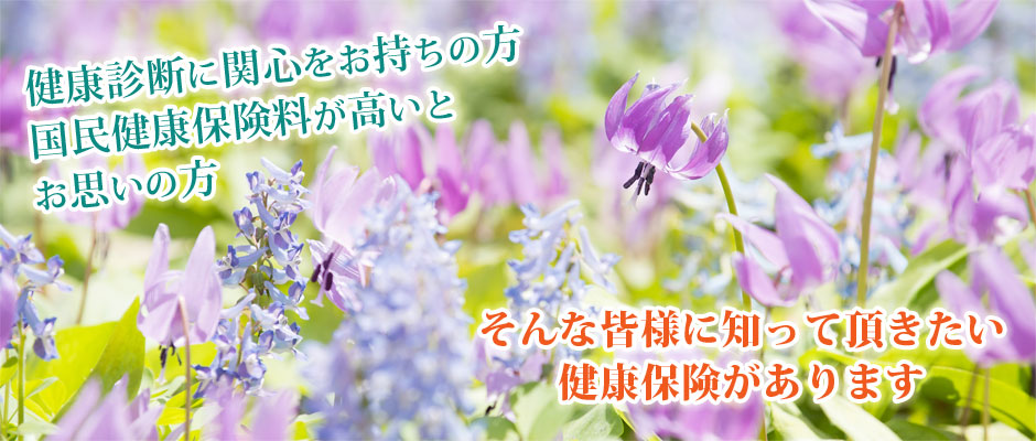 2017年春①