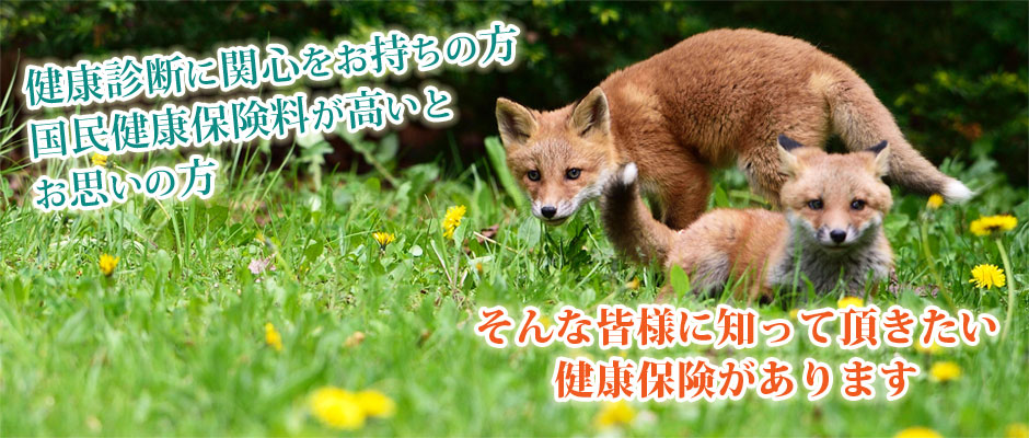 2017年春②