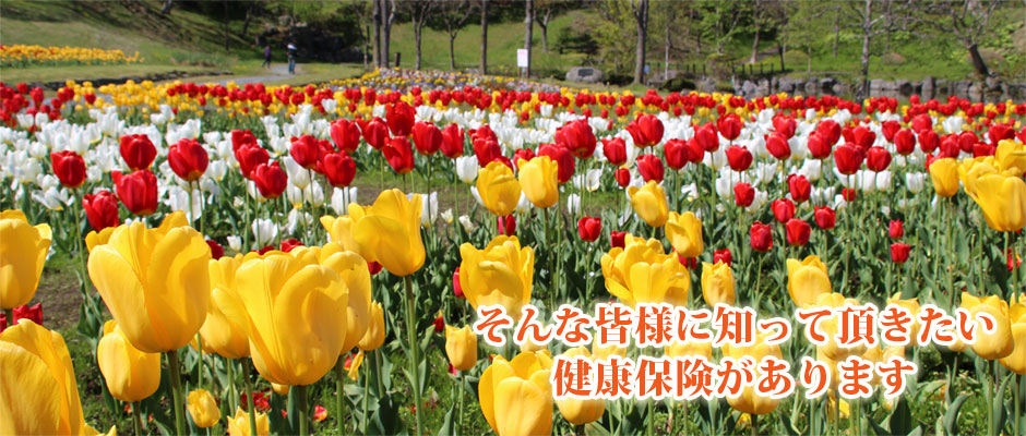 2018年夏②
