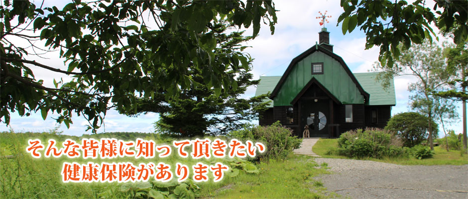2018年夏④