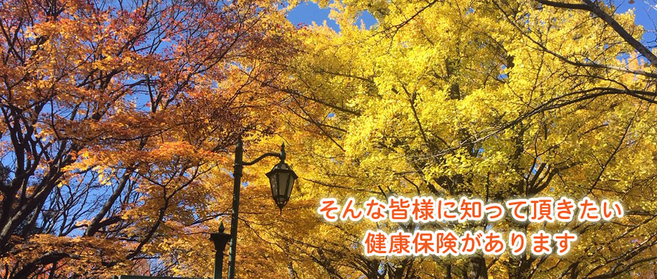 2018年秋②