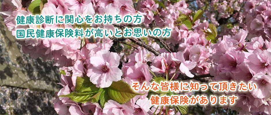 2019年春①
