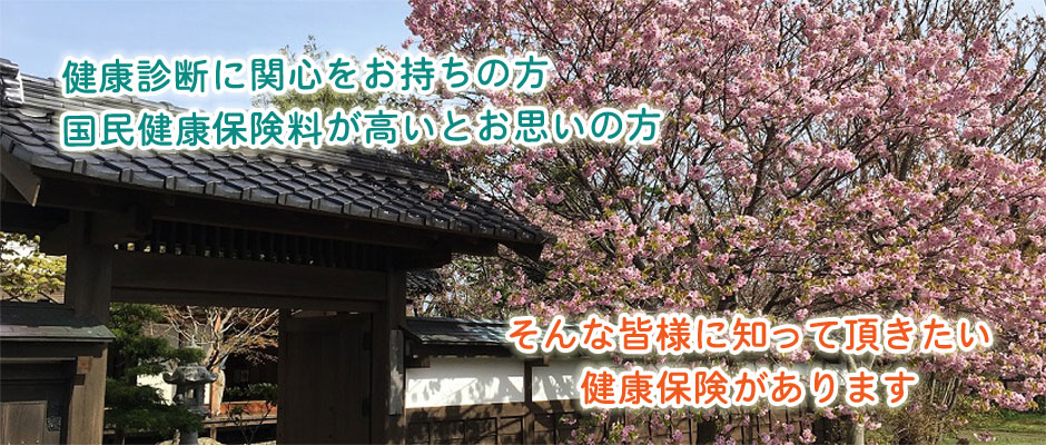 2019年春②