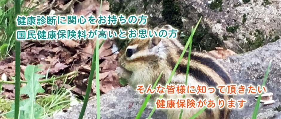 2019年夏①
