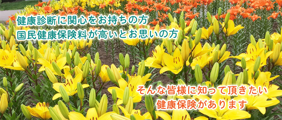 2019年夏②