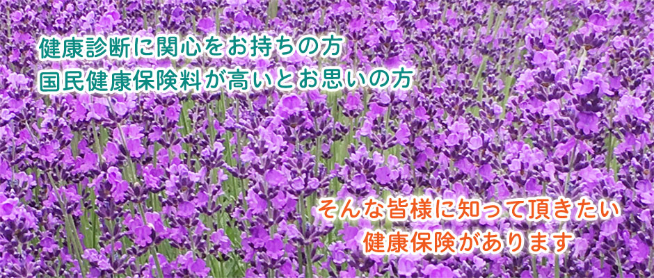 2019年夏③
