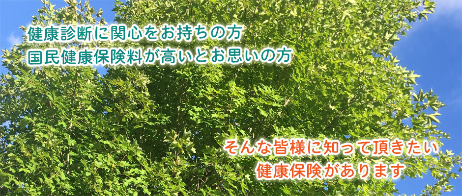 2020年夏④