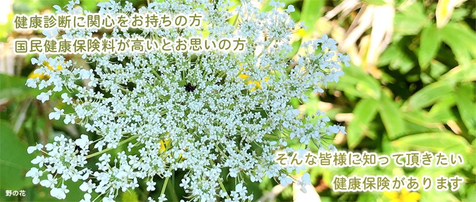 2022年夏③