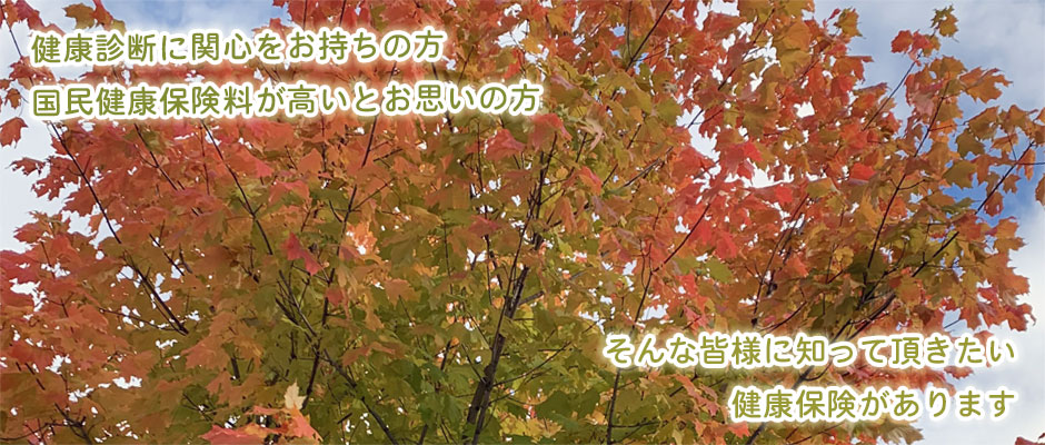 2022年秋①