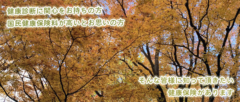 2022年秋②
