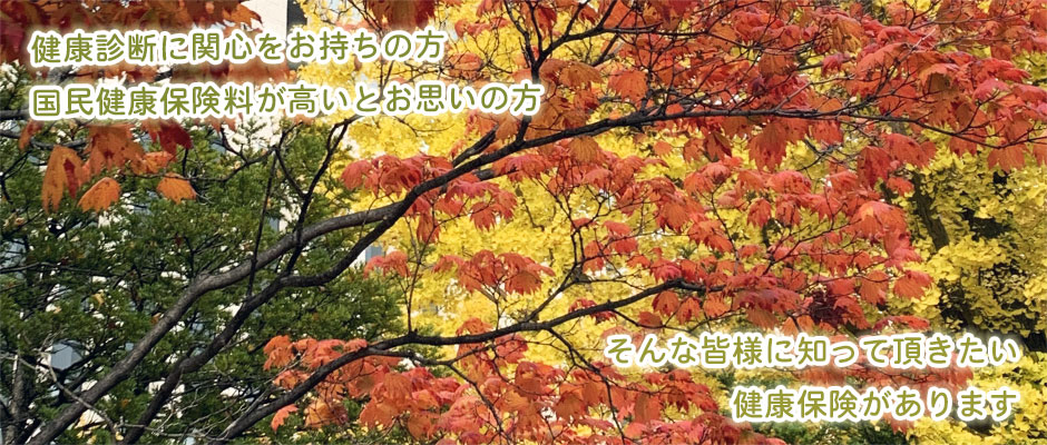 2022年秋③