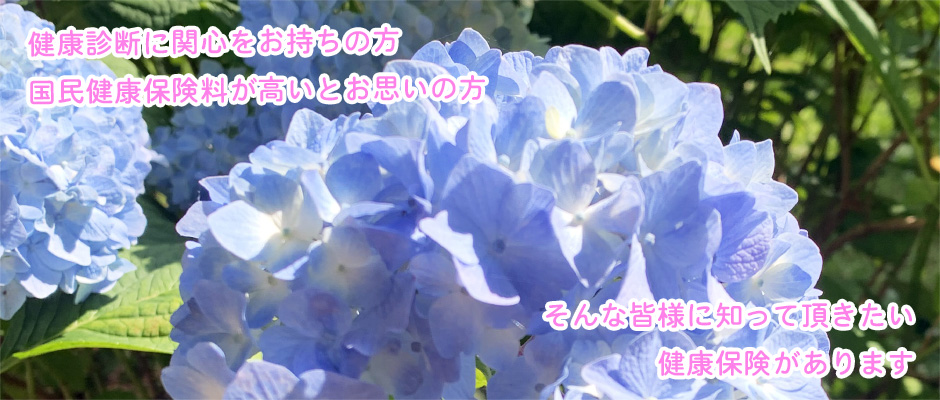 2023年夏①