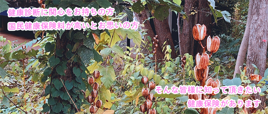 2023年秋②