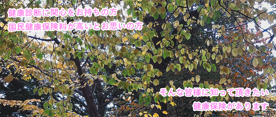 2023年秋③