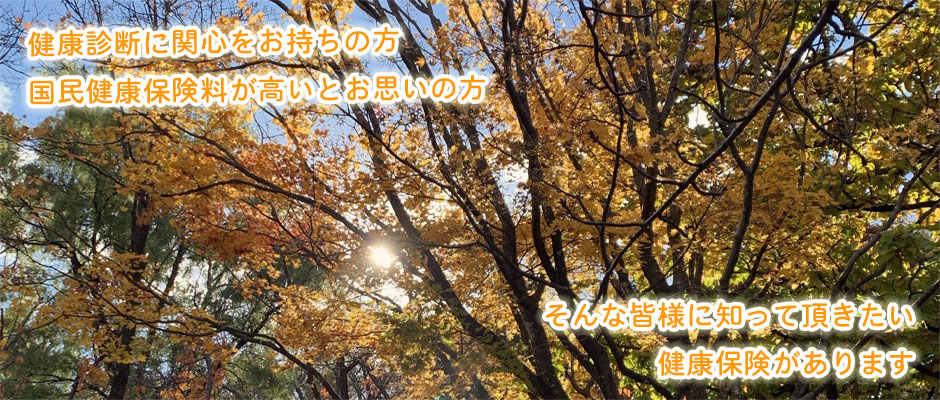 2024年秋①