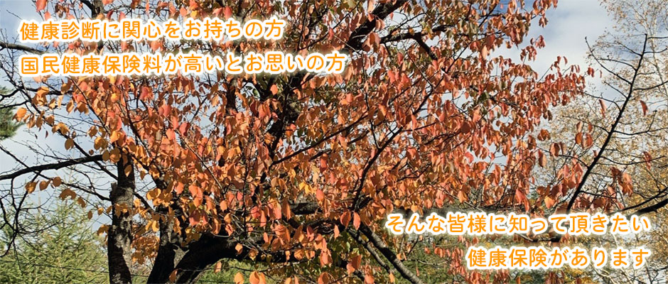 2024年秋③