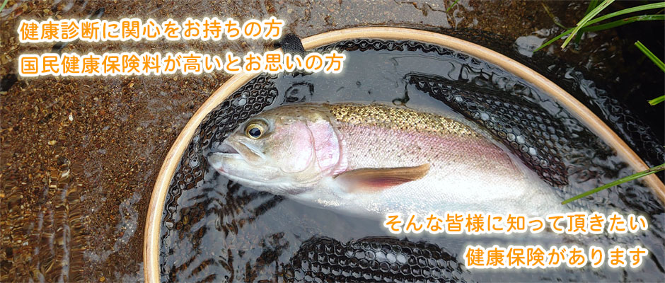 イメージ写真１